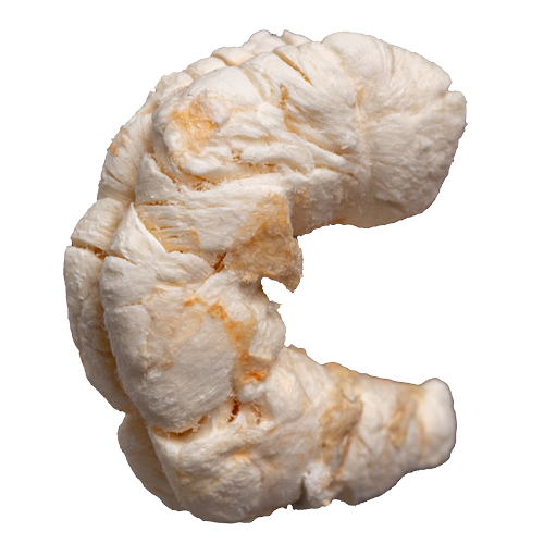 Shrimp Angle 11